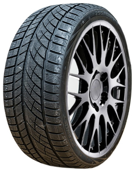 275/35R19 100H RoadX RXFrost WU01